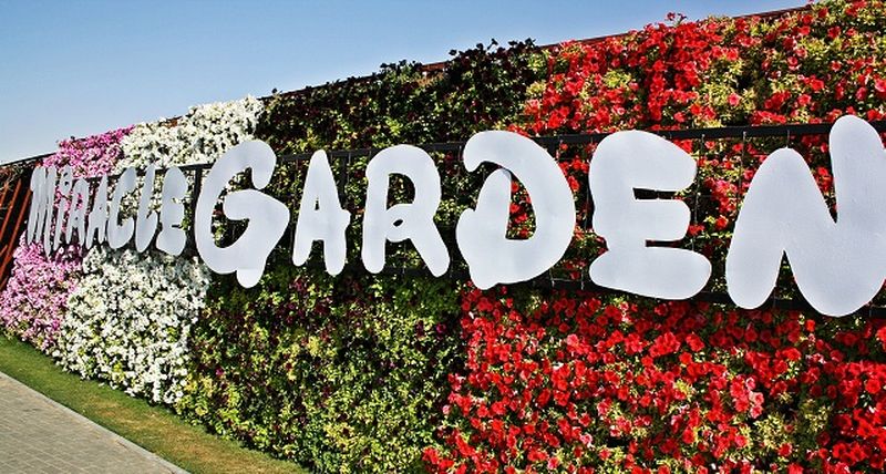 Сад Чудес - самый большой цветочный сад в мире