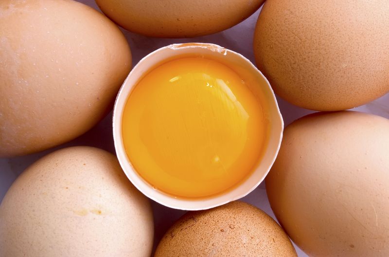 Интересные факты о курином яйце