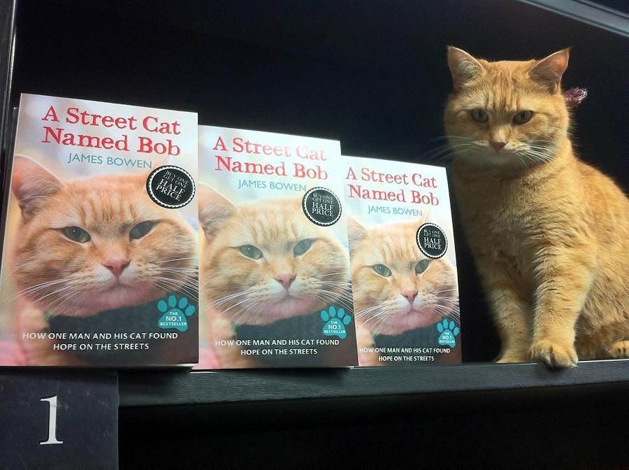 Рыжий кот Боб, который прославился на весь мир