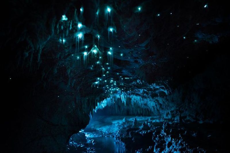 Пещера светящихся червячков