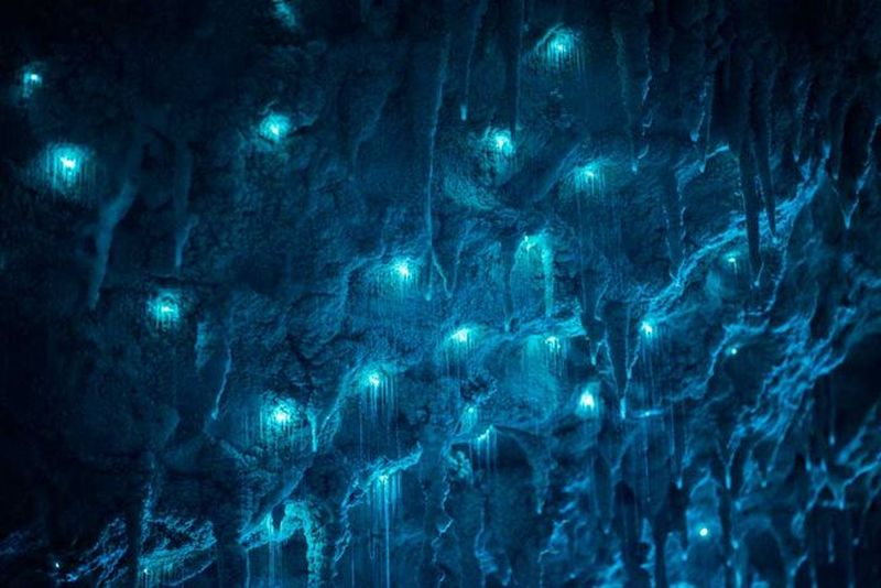 Пещера светящихся червячков