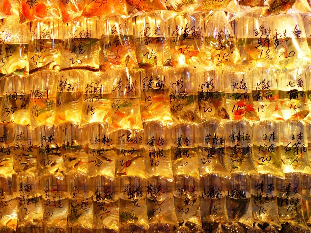 Золотые рыбки на рынке Гонконга