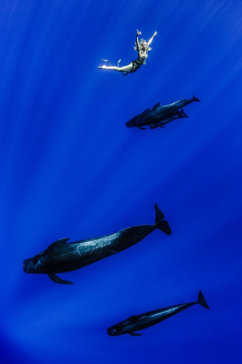 Подводные танцы с китами