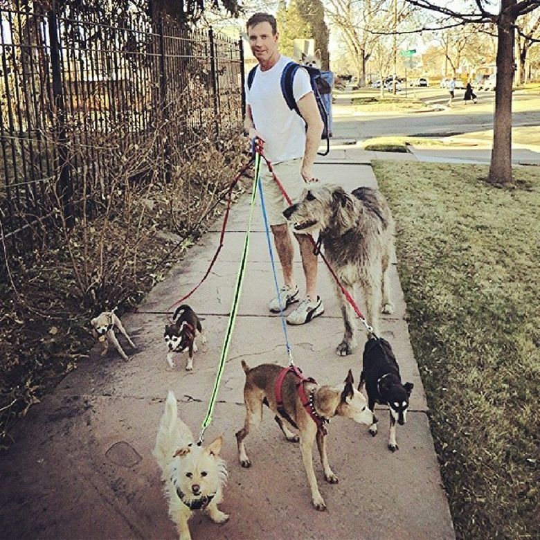 Мужчина, который живет с 10 собаками и поросенком