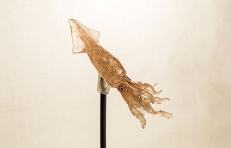 Амэдзаику — искусство создания реалистичных существ в виде леденцов