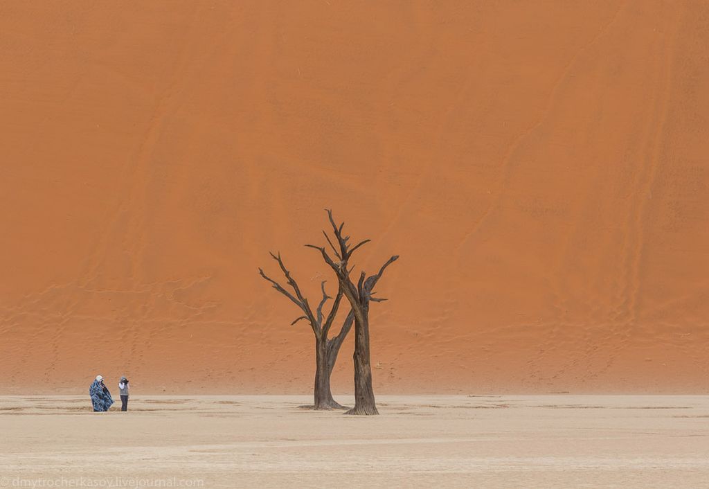 Путешетвие в самое сердце пустыни Намиб