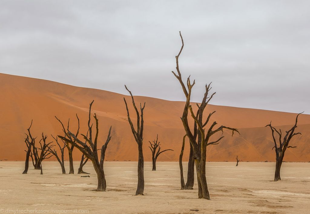 Путешетвие в самое сердце пустыни Намиб