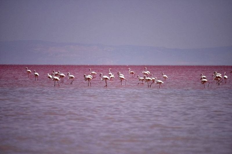 Соленое озеро Туз в Турции