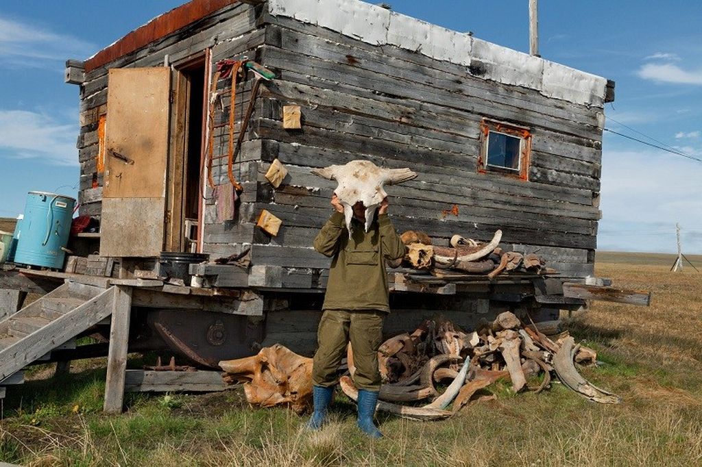 Добыча бивней мамонта в Сибири