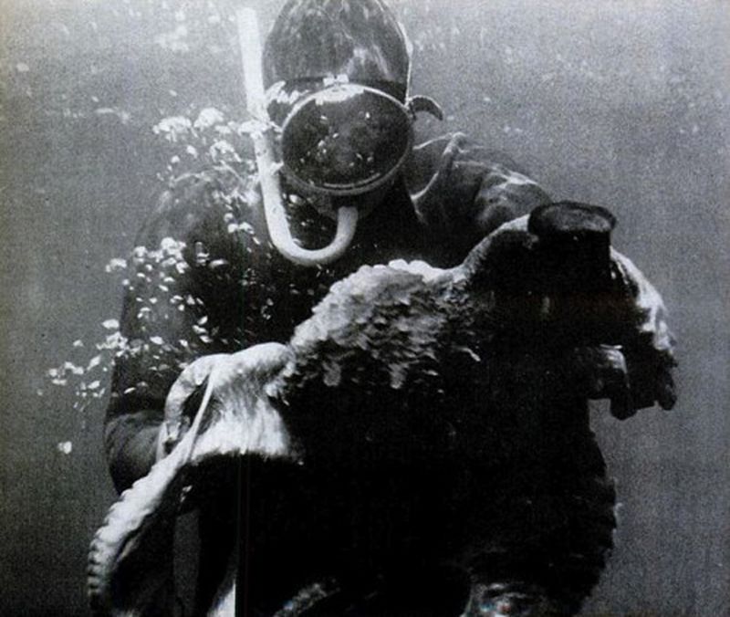 Борьба с осьминогом, популярная в середине прошлого века в США