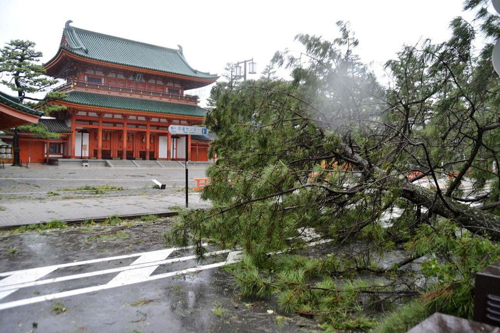 Тайфун «Джеби» — самый мощный тайфун за 25 лет