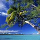 Остров Тетиароа (Tetiaroa)