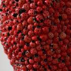 Скульптура из божьих коровок