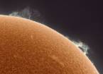 Поверхность солнца в фотографиях астрофотографа алана фридмана