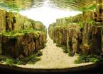 Невероятные подводные сады искусства акваскэйп