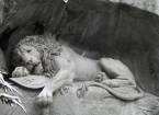 Знаменитая скульптура умирающий лев