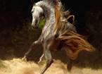 Арабские и андалузские лошади войтека квиатковского
