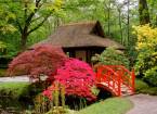 В лучших традициях японского сада