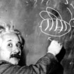 Загадка эйнштейна: кто выращивает рыбок?