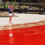 Вода на пляжах австралии приобрела устрашающий кроваво-алый оттенок