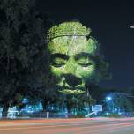 Световая проекция 'камбоджийские деревья'
