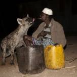 Почему эфиопы проявляют любовь к гиенам