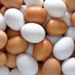 Что полезнее: белые или коричневые куриные яйца?
