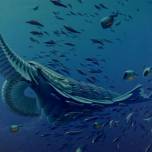 Доисторические креветки фильтровали пищу, как киты