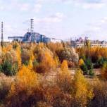 Чернобыльские деревья и листья практически не разлагаются, заявили ученые