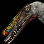 В китае найдены пять неродившихся птерозавров