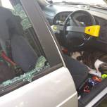 Полицейские разбили окно машины для спасения собаки