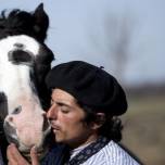 Мартин татта - заклинатель лошадей из аргентины