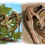 Первые змеи ползали по земле на 70 миллионов лет раньше