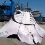 Перуанские рыбаки поймали гигантского морского дьявола