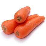 Почему морковь оранжевая ?