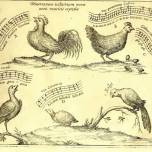 Как мы слушаем пение птиц
