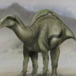 «Парус» на спине динозавров помог им выжить в меняющемся климате