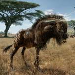 Предок антилопы гну, вероятно, мог трубить, как динозавр