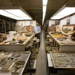 Смитсоновский Национальный музей естественной истории