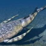 Bothriolepis rex: гигантская панцирная рыба девонского периода