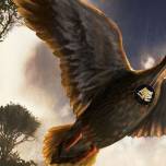 Некоторые доисторические птицы издавали звуки, похожие на кряканье уток