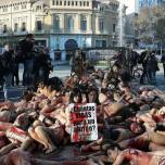 Обнаженные испанцы облились кровью ради животных