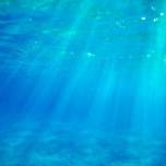 10 странных фактов, связанных с глубинами океана