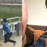 Макака отомстила туристу, скинувшему ее в пруд в китайском храме