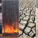 Реальность xxi века: до шести стихийных бедствий одновременно