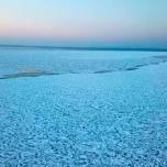 Путешествие койот по льду огромного озера