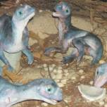 Детеныши динозавров ползали на четвереньках прямо как люди