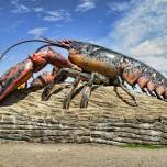 Самые долгоживущие организмы на планете