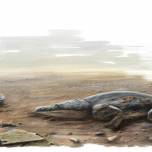 Метопозавр (лат. metoposaurus algarvensis)