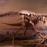 Как детёныши хищных динозавров меняли мир под себя